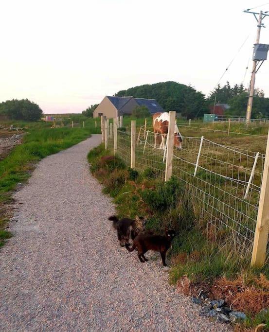 Isla'S Cottage Stornoway  Eksteriør billede